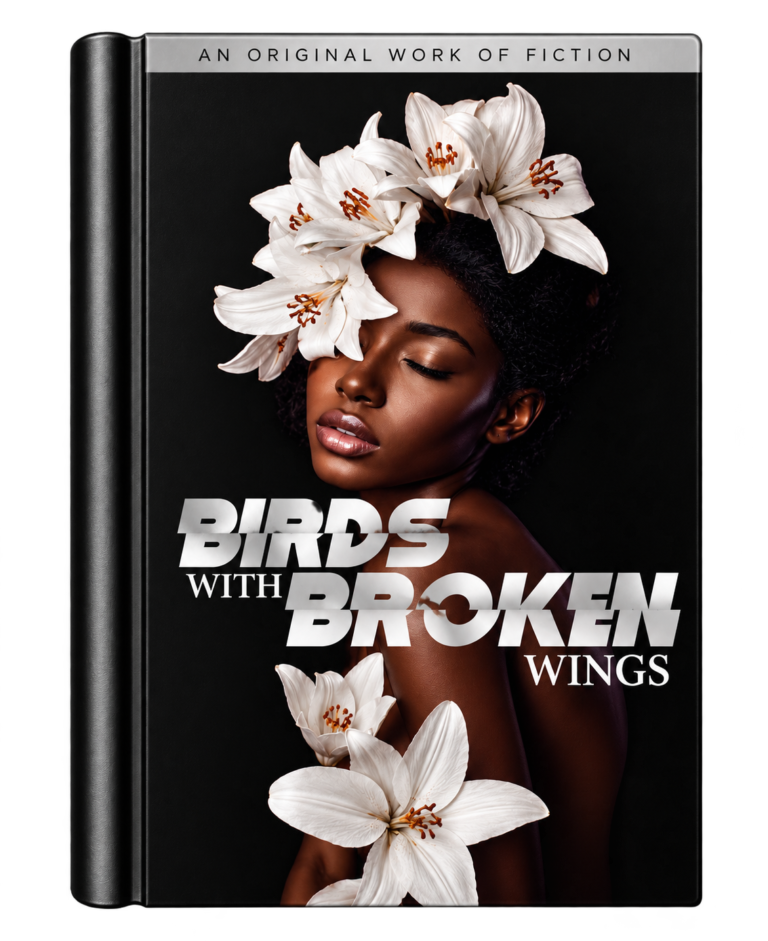 birds with broken wings cover